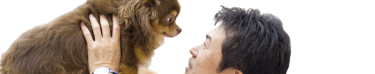 七里動物病院さんのホーム