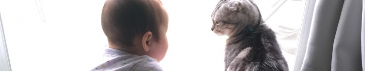 KOTAKOTOさんのホーム