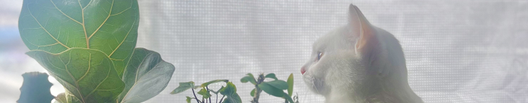 くまたにたかしさんのホーム