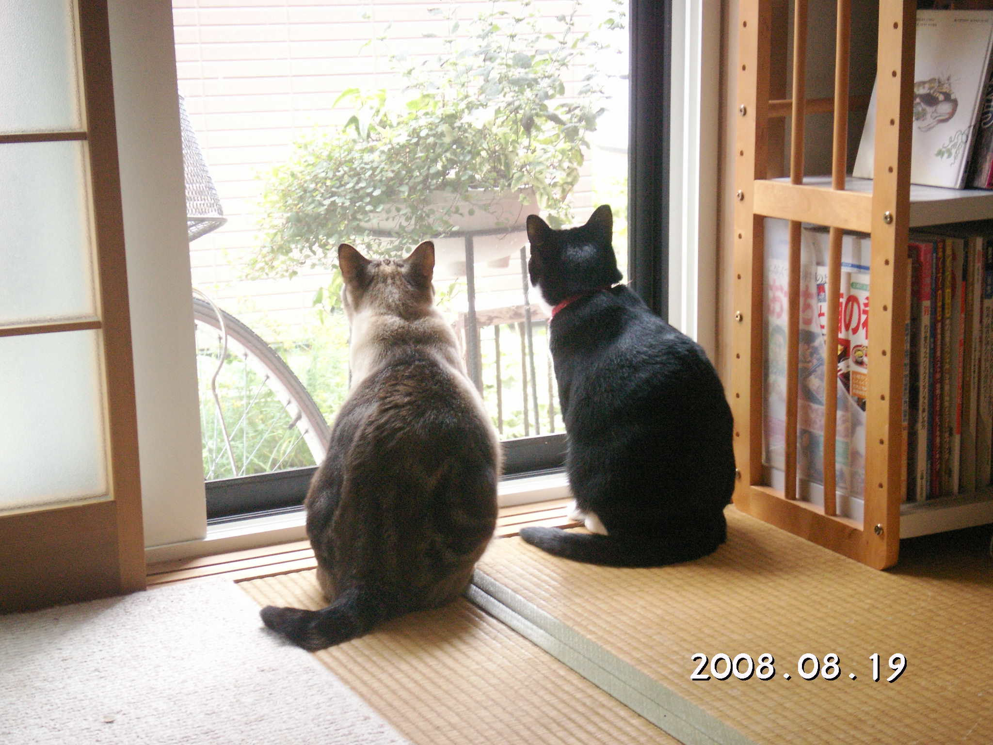 みのやんさんのホーム