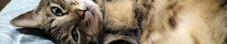 めるちゃんねるさんのホーム