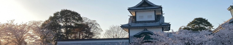 どんぐり。さんのホーム