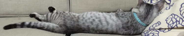 ちょこまる24さんのホーム