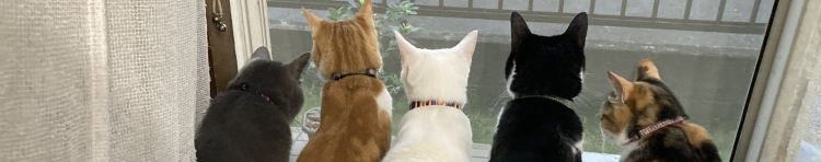 つぐちゃんママさんのホーム