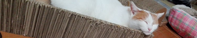 ユキマルさんのホーム