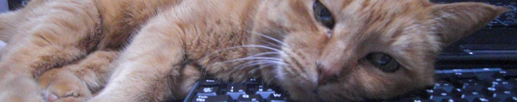 エムにゃんさんのホーム