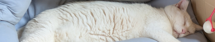 nekkoshiroiさんのホーム