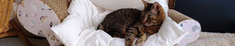 RICO-Hさんのホーム