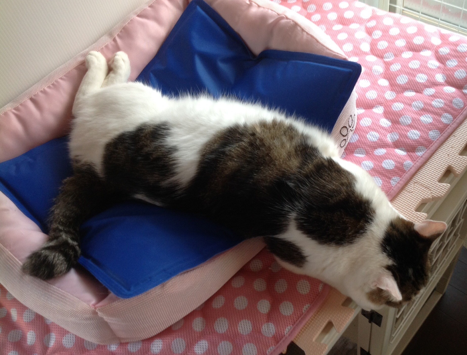 さときち22さんのホーム