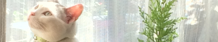 rie0111さんのホーム