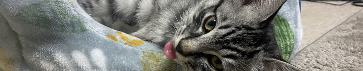 るか000さんのホーム