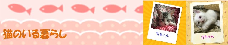 mamapanmanさんのホーム