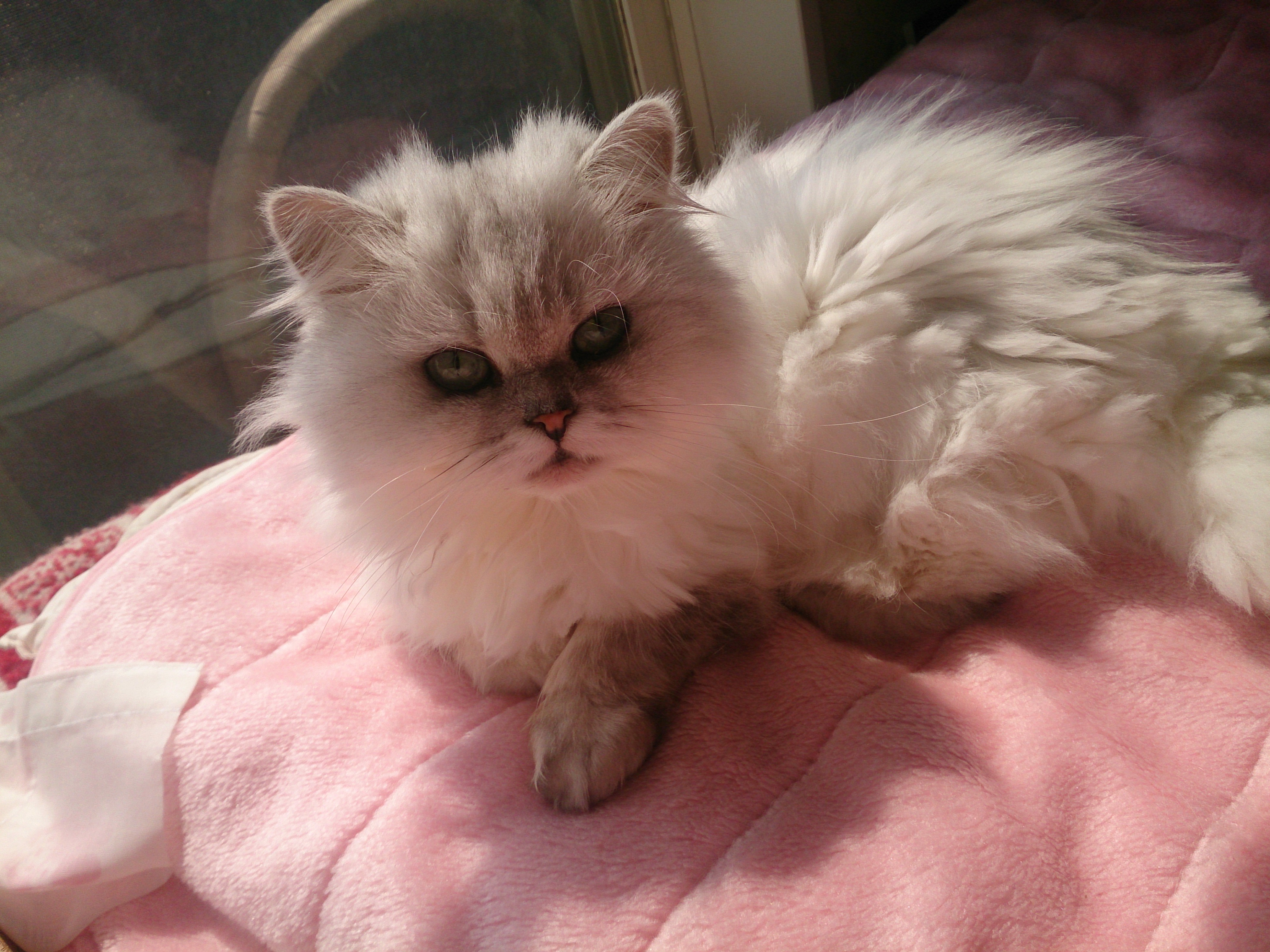 *+めるも+*さんのホーム