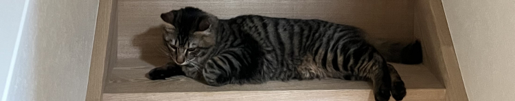 うき0358さんのホーム