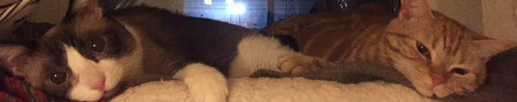 mojakanaさんのホーム