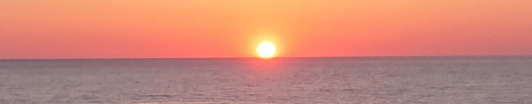 Murailleさんのホーム