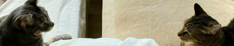 ありNさんのホーム