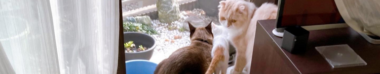 ぴちょむんさんのホーム