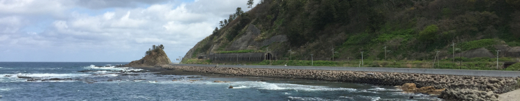 ねねこ♪さんのホーム