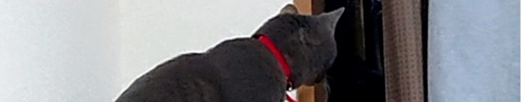 かな( •ᴗ• )さんのホーム