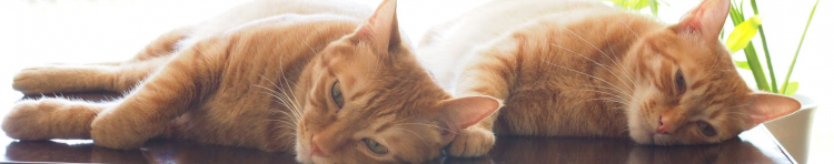 mee3さんのホーム