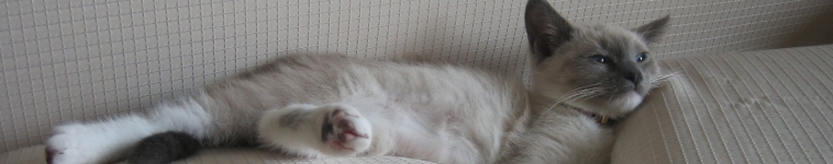 まるとさんのホーム