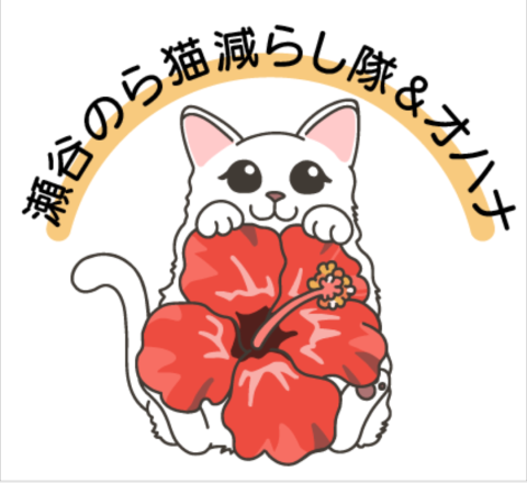 猫活ボランティアさん募集中！