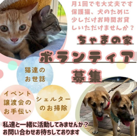 ちゃまの家ボランティア仲間募集中
