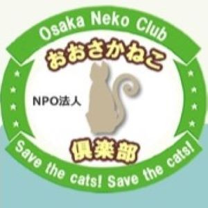 可愛い猫たちに囲まれて可哀そうな猫たちを助けよう！