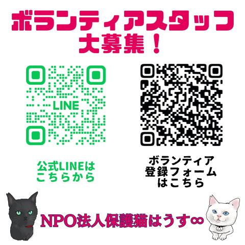 【大募集】ボランティアスタッフ求ム!!（徳島）