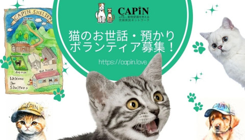 CAPIN ボランティア大募集