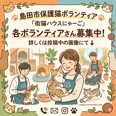 にゃーごスタッフ募集