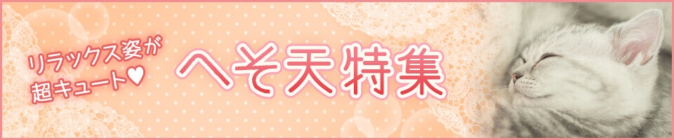 ゆったり可愛い♪へそ天特集