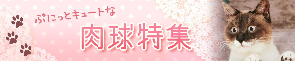 ぷにぷに可愛い肉球特集