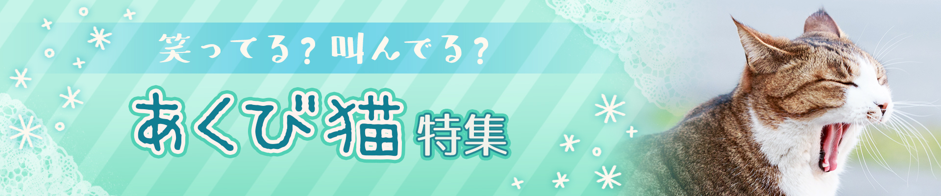 笑ってる？叫んでる？あくび猫特集
