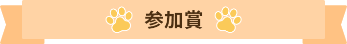 参加賞