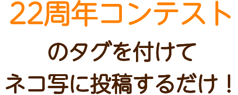 22周年コンテストのタグを付けてネコ写に投稿するだけ！