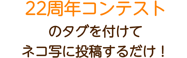 22周年コンテストのタグを付けてネコ写に投稿するだけ！